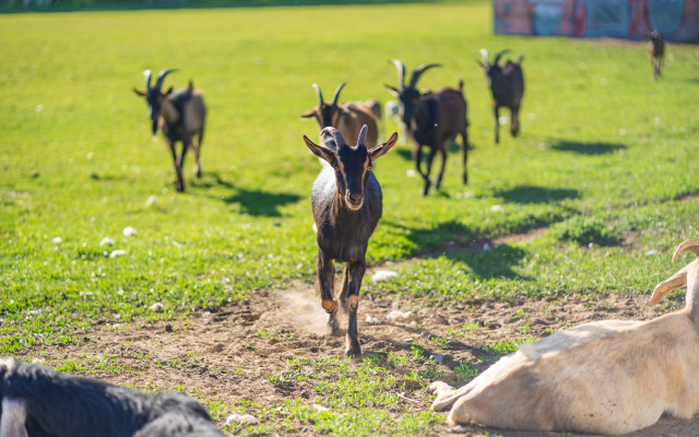 Отель Комплекc Загородного отдыха  Место 7
