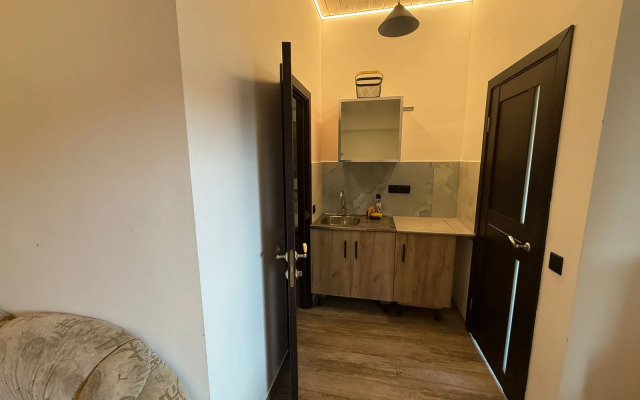 Частный дом студия Junglе