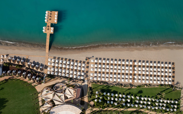 Paloma Grida - All Inclusive