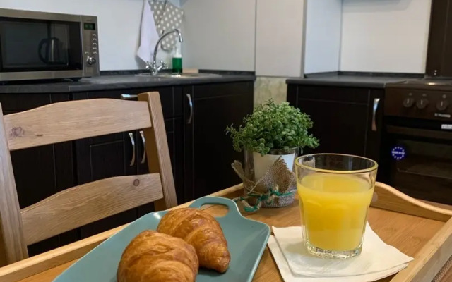 Flat Ogni Kolpino Ii