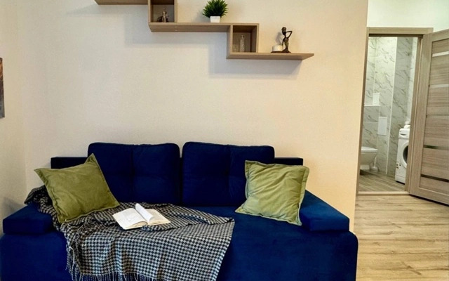 Квартира на Ильи Кургузова 6