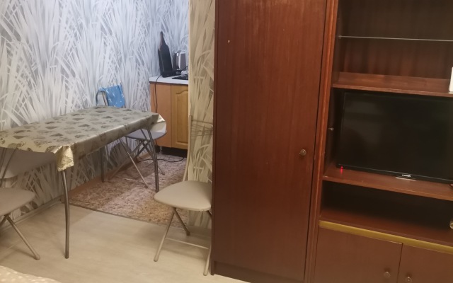 Studiya S Balkonom Flat