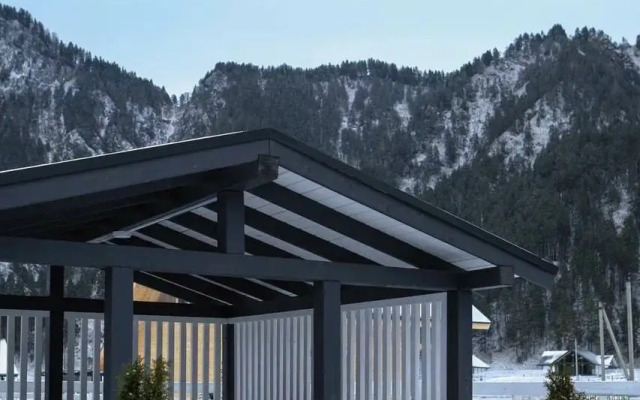 Отель Альпинс Residence