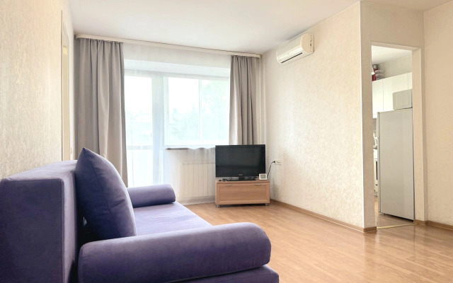 Dvukhkomnatnaya S Balkonom i Konditsionerom V Tsentre Na Vesenney Flat