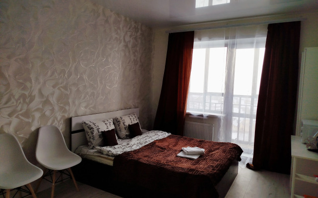 1 Aeroport Tolmachevo Apartments
