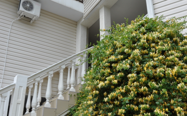 Marmari Guest House