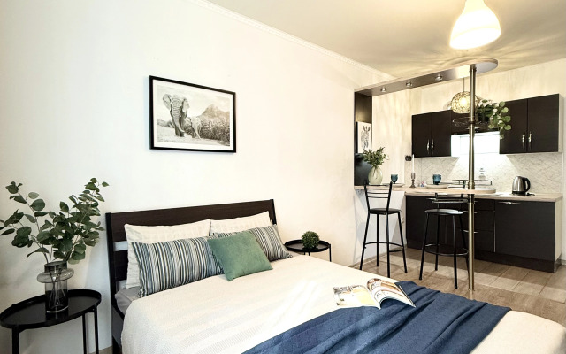 Апартаменты 2-я Володарского 176