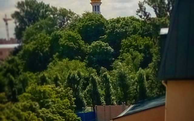 Квартира Red Wall