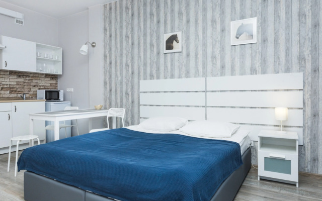 Светлая студия Этажидейли с балконом в Центре