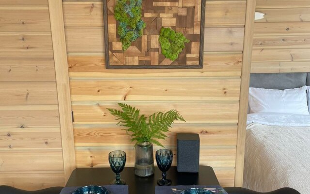 Гостевой дом на воде,хаусбот на р.Вуокса, карельский перешеек