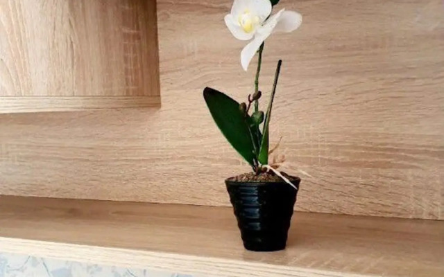 Квартира на улице имени Генерала Карбышева