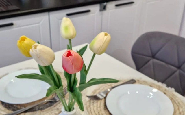 Квартира Родионова 202/1-107