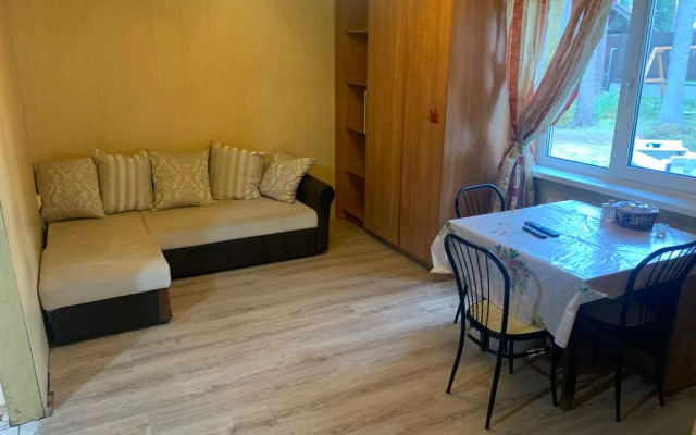 Частный дом в Рощино