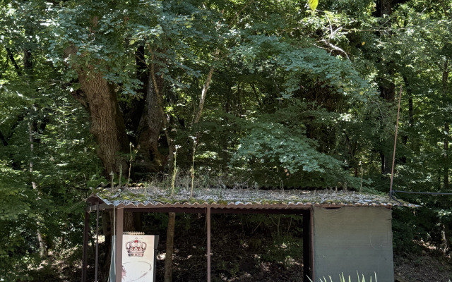 Rosinka Guest house