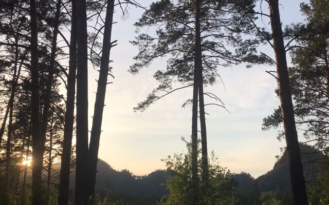 Отель Altai Star