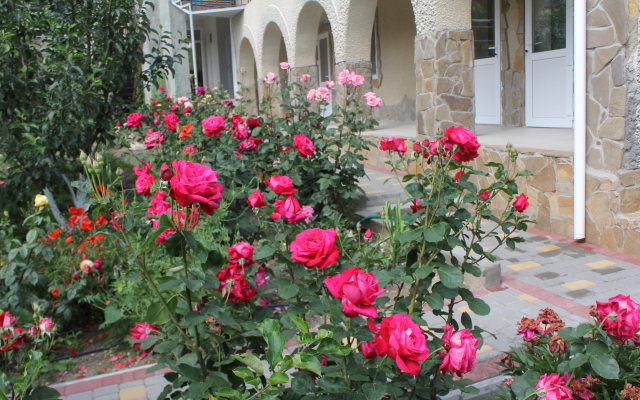 Elena Guest House