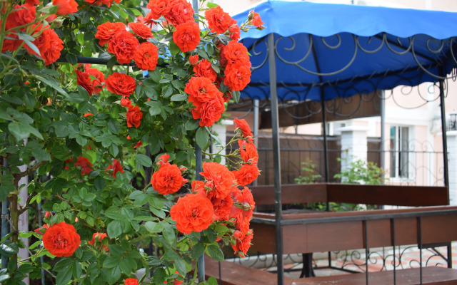 Отель Чайка