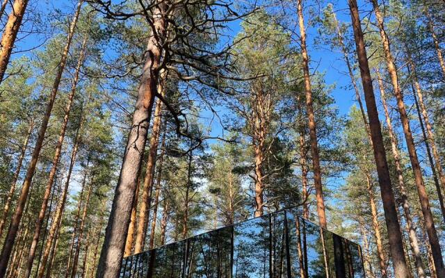 Глэмпинг Mystic Hills