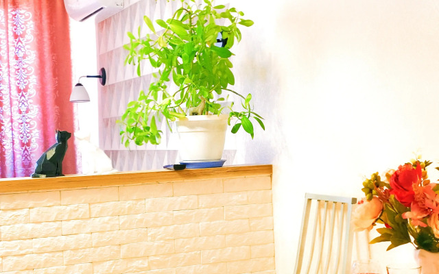 Studiya V Tsentre Voronezha Flat