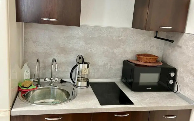 Studiya s vidom na Finskiy zaliv Apartments