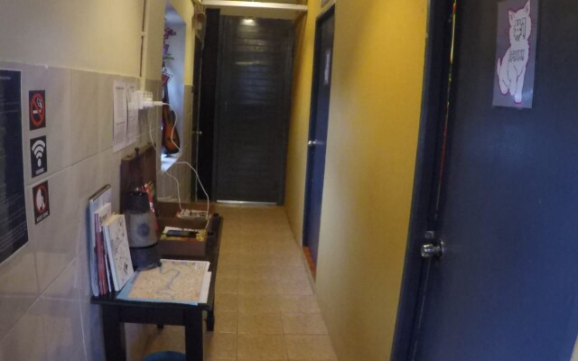 Quiik Cat Mini-Hotel