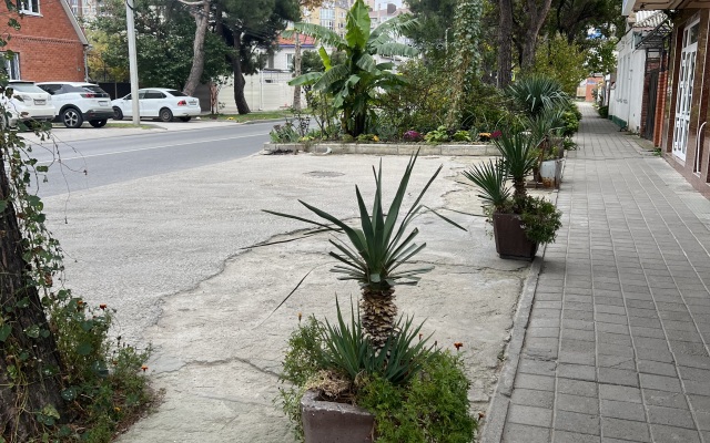 Na Vladimirskoy Guest house