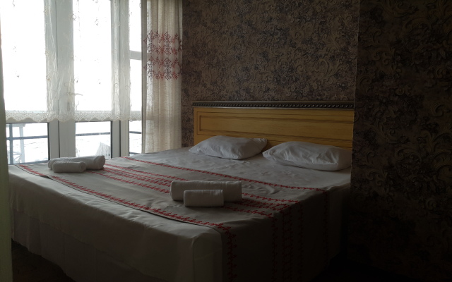 Alenka Mini-hotel