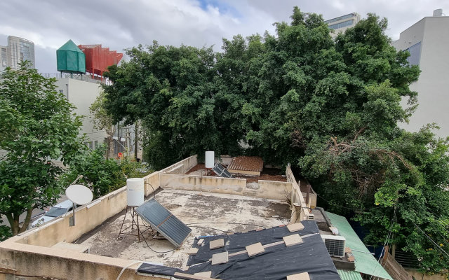 Ophrys 1BR Tel Aviv Kerem Kalisher Apartments