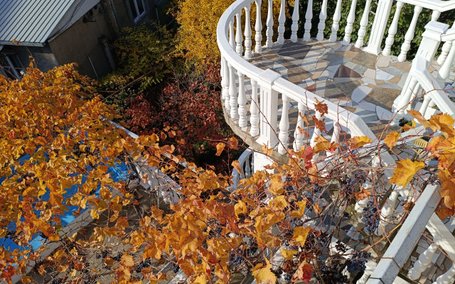 Eco-friendly Why Me Tbilisi Guest House