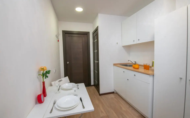 Kvartira-studiya 3 na Balyaeva Flat