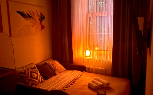 Апартаменты студия, 17 м², 1 кровать