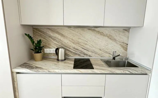 Апартаменты Делюкс с Балконом Lesnaya