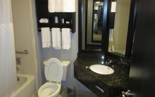 Отель Comfort Inn & Suites