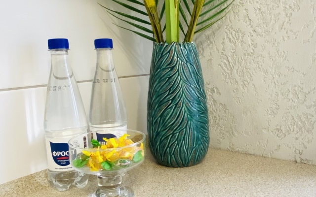 Апартаменты на Озерова 45