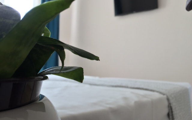 Slava Guest House
