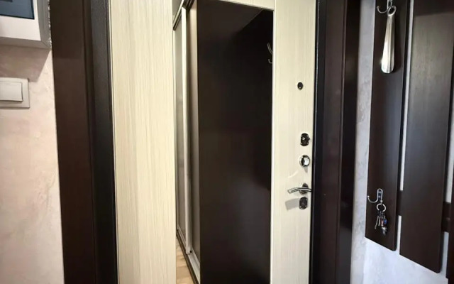 Uyutnaya Sovremennaya Studiya Flat