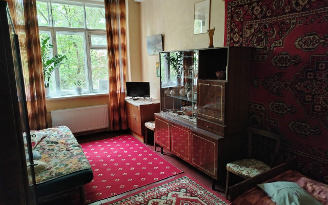 Dvukhkomnatnaya V Tsentre Goroda U Parka Flat