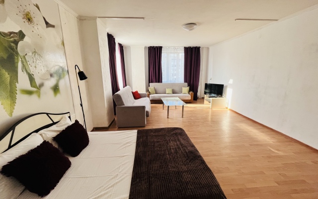 Bolshaya Kvartira V Tsentre Goroda Apartments