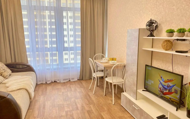 Квартира 2-комнатная студия в центре на Мичурина