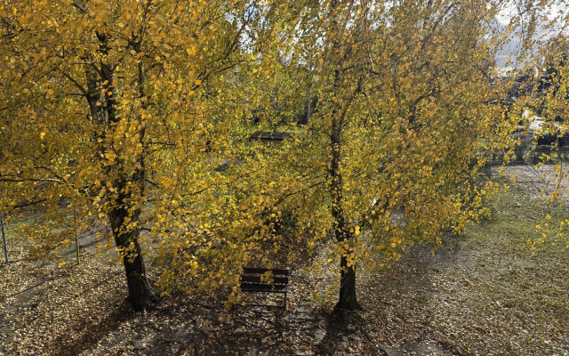 Светлая и уютная квартира в центре Гурьевска