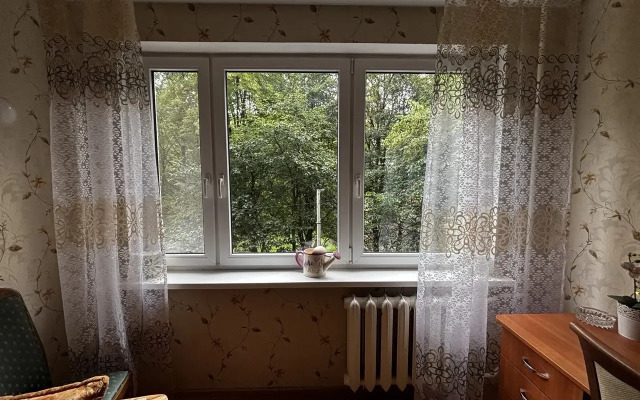 Квартира Уютная в самом центре Калининграда