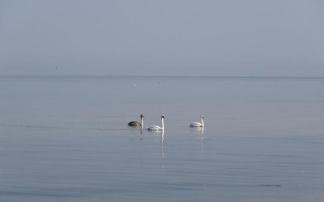 Квартира Лофт у Моря в Пионерском