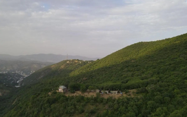 Navasard Resort Hotel