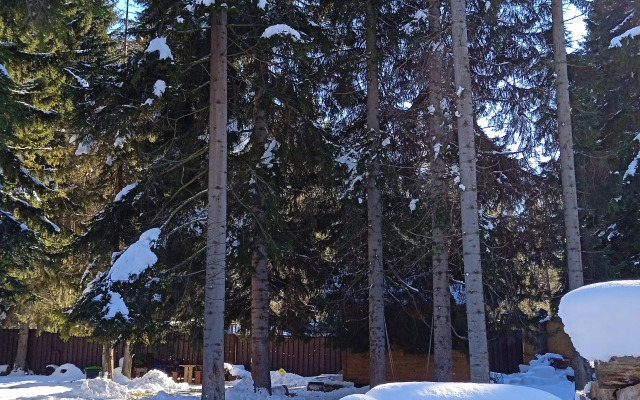 Гостевой Дом Лесная Сказка