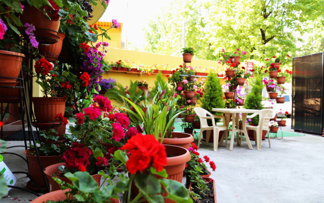 Galina Guest House