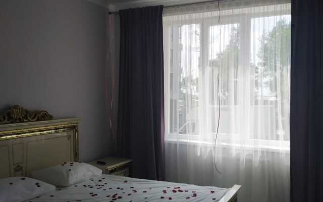 Zhemchuzhina na Gagarina Apartments