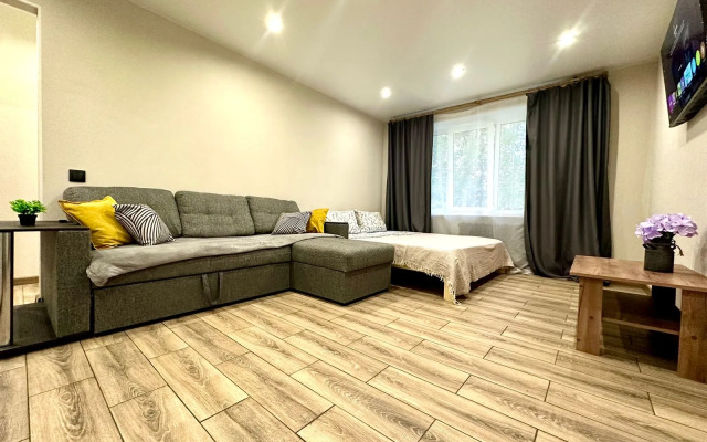 Uyutnaya Na Stankozavodskoy Flat