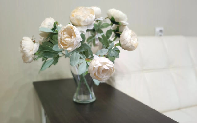 Квартира Vip на Сойфера