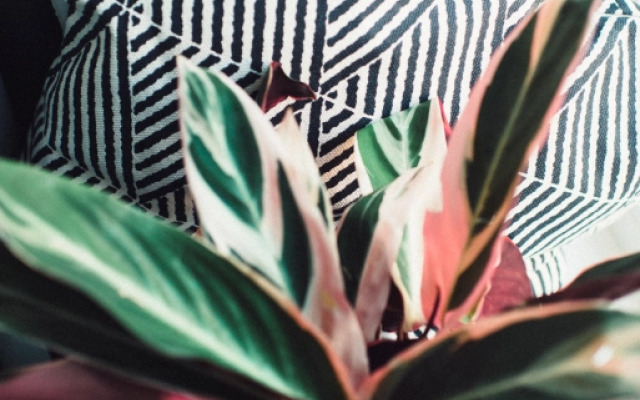 Апартаменты Стандартные Гороховая 33