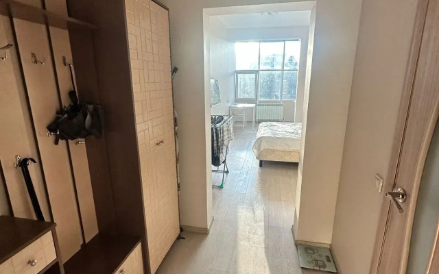 Na Deputatskoy Apartment